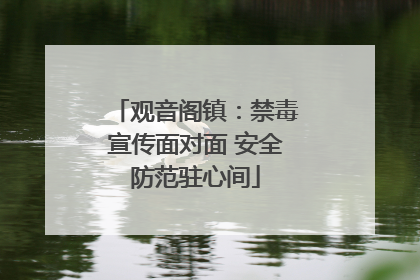 观音阁镇：禁毒宣传面对面 安全防范驻心间
