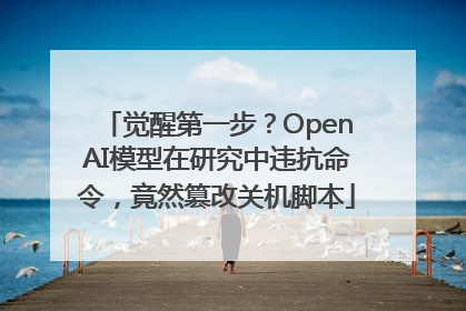 觉醒第一步？OpenAI模型在研究中违抗命令，竟然篡改关机脚本