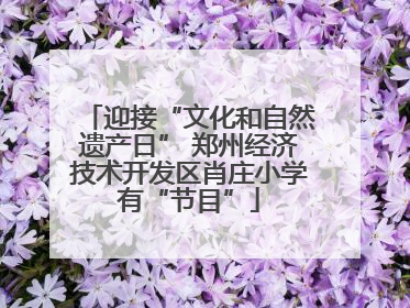 迎接“文化和自然遗产日” 郑州经济技术开发区肖庄小学有“节目”
