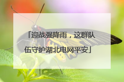 迎战强降雨，这群队伍守护湖北电网平安