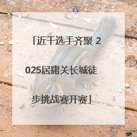 近千选手齐聚 2025居庸关长城徒步挑战赛开赛
