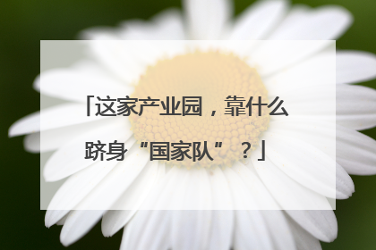 这家产业园，靠什么跻身“国家队”？