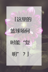 这里的篮球场何时能“复明”？