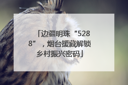 边疆明珠“5288”，烟台援藏解锁乡村振兴密码