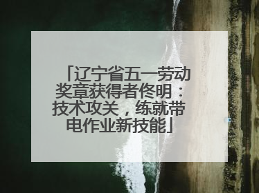 辽宁省五一劳动奖章获得者佟明：技术攻关，练就带电作业新技能