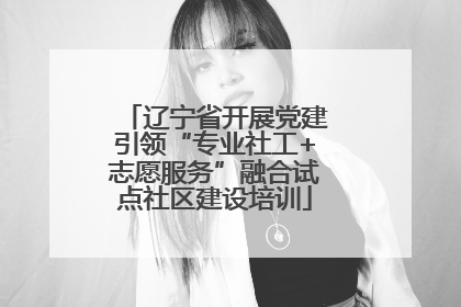 辽宁省开展党建引领“专业社工+志愿服务”融合试点社区建设培训