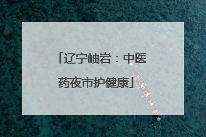 辽宁岫岩：中医药夜市护健康