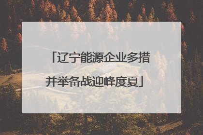 辽宁能源企业多措并举备战迎峰度夏