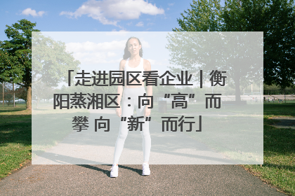 走进园区看企业｜衡阳蒸湘区：向“高”而攀 向“新”而行