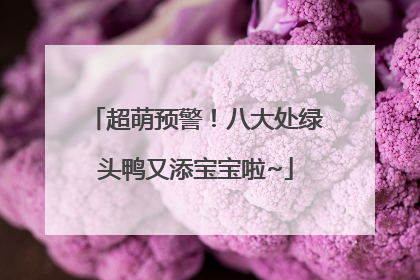 超萌预警！八大处绿头鸭又添宝宝啦~