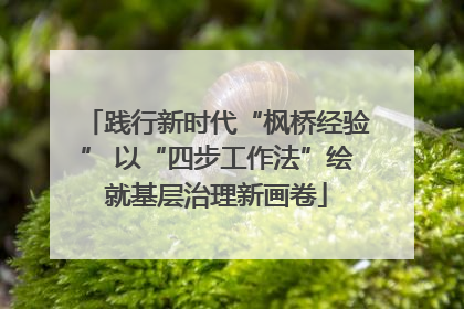 践行新时代“枫桥经验” 以“四步工作法”绘就基层治理新画卷