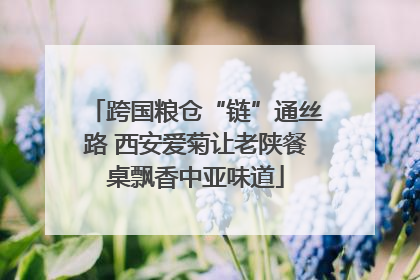 跨国粮仓“链”通丝路 西安爱菊让老陕餐桌飘香中亚味道