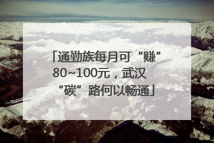 通勤族每月可“赚”80~100元，武汉“碳”路何以畅通
