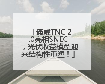 通威TNC 2.0亮相SNEC，光伏收益模型迎来结构性重塑！