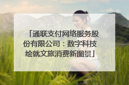 通联支付网络服务股份有限公司：数字科技绘就文旅消费新图景