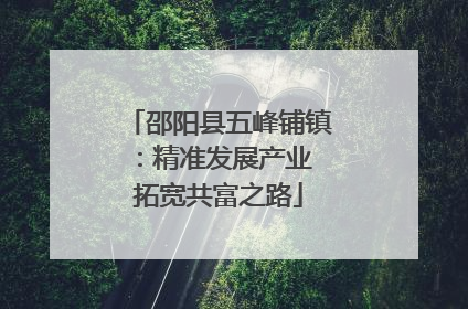 邵阳县五峰铺镇：精准发展产业 拓宽共富之路