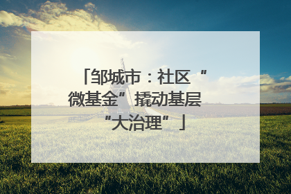 邹城市：社区“微基金”撬动基层“大治理”