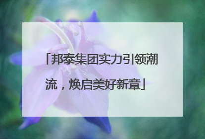 邦泰集团实力引领潮流，焕启美好新章