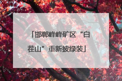 邯郸峰峰矿区“白茬山”重新披绿装