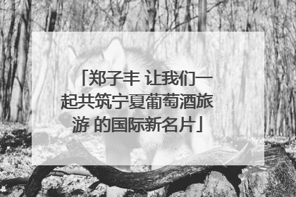 郑子丰 让我们一起共筑宁夏葡萄酒旅游 的国际新名片