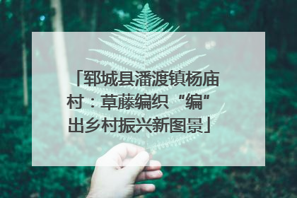 郓城县潘渡镇杨庙村：草藤编织“编”出乡村振兴新图景
