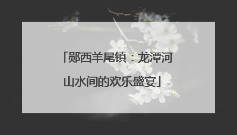 郧西羊尾镇：龙潭河山水间的欢乐盛宴