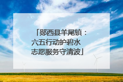 郧西县羊尾镇：六五行动护碧水 志愿服务守清波