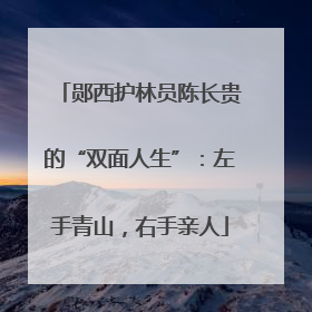 郧西护林员陈长贵的“双面人生”：左手青山，右手亲人