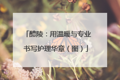 醴陵：用温暖与专业 书写护理华章（图）