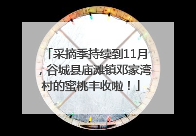 采摘季持续到11月，谷城县庙滩镇邓家湾村的蜜桃丰收啦！