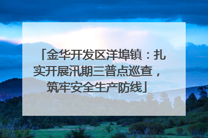 金华开发区洋埠镇：扎实开展汛期三普点巡查，筑牢安全生产防线