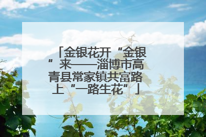 金银花开“金银”来——淄博市高青县常家镇共富路上“一路生花”