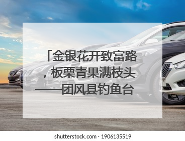 金银花开致富路，板栗青果满枝头——团风县钓鱼台村“山水生金”谱写共富新篇章