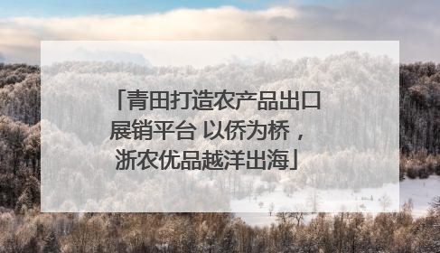 青田打造农产品出口展销平台 以侨为桥，浙农优品越洋出海