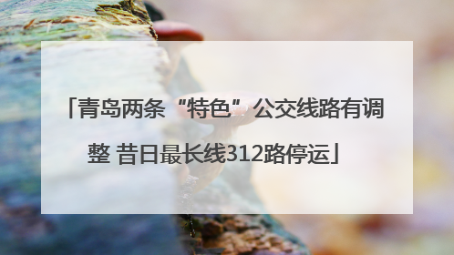 青岛两条“特色”公交线路有调整 昔日最长线312路停运