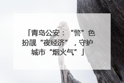 青岛公安：“警”色扮靓“夜经济”，守护城市“烟火气”