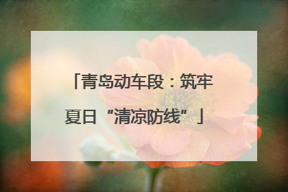 青岛动车段：筑牢夏日“清凉防线”