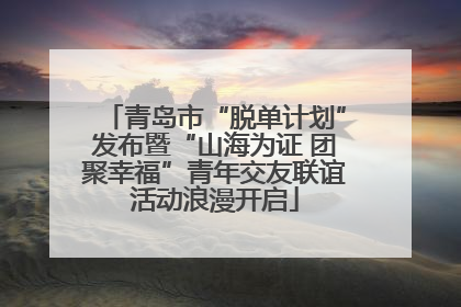 青岛市“脱单计划”发布暨“山海为证 团聚幸福”青年交友联谊活动浪漫开启