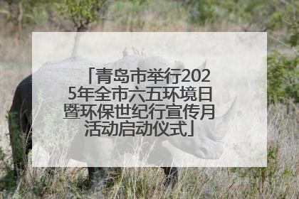 青岛市举行2025年全市六五环境日暨环保世纪行宣传月活动启动仪式