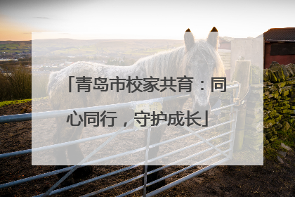 青岛市校家共育：同心同行，守护成长