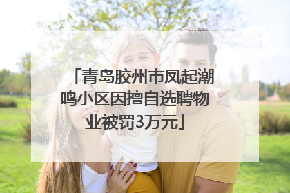 青岛胶州市凤起潮鸣小区因擅自选聘物业被罚3万元