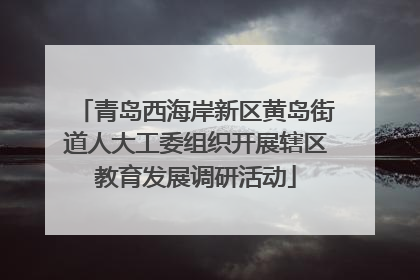 青岛西海岸新区黄岛街道人大工委组织开展辖区教育发展调研活动