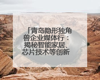 青岛隐形独角兽企业媒体行：揭秘智能家居、芯片技术等创新亮点 共绘科技新篇章