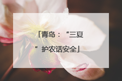 青岛：“三夏”护农话安全