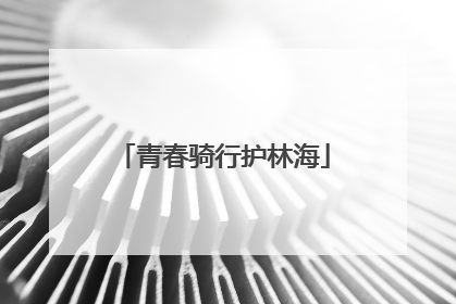 青春骑行护林海