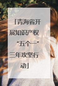 青海省开展知识产权“五个一”三年攻坚行动
