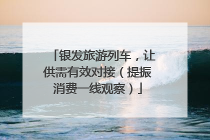 银发旅游列车，让供需有效对接（提振消费一线观察）