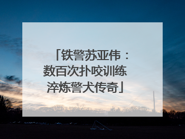 铁警苏亚伟：数百次扑咬训练淬炼警犬传奇