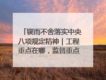 锲而不舍落实中央八项规定精神｜工程重点在哪，监督重点就在哪——广西深化政治监督护航平陆运河建设