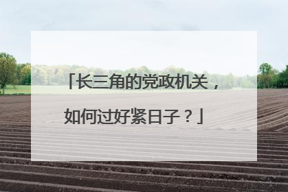 长三角的党政机关，如何过好紧日子？